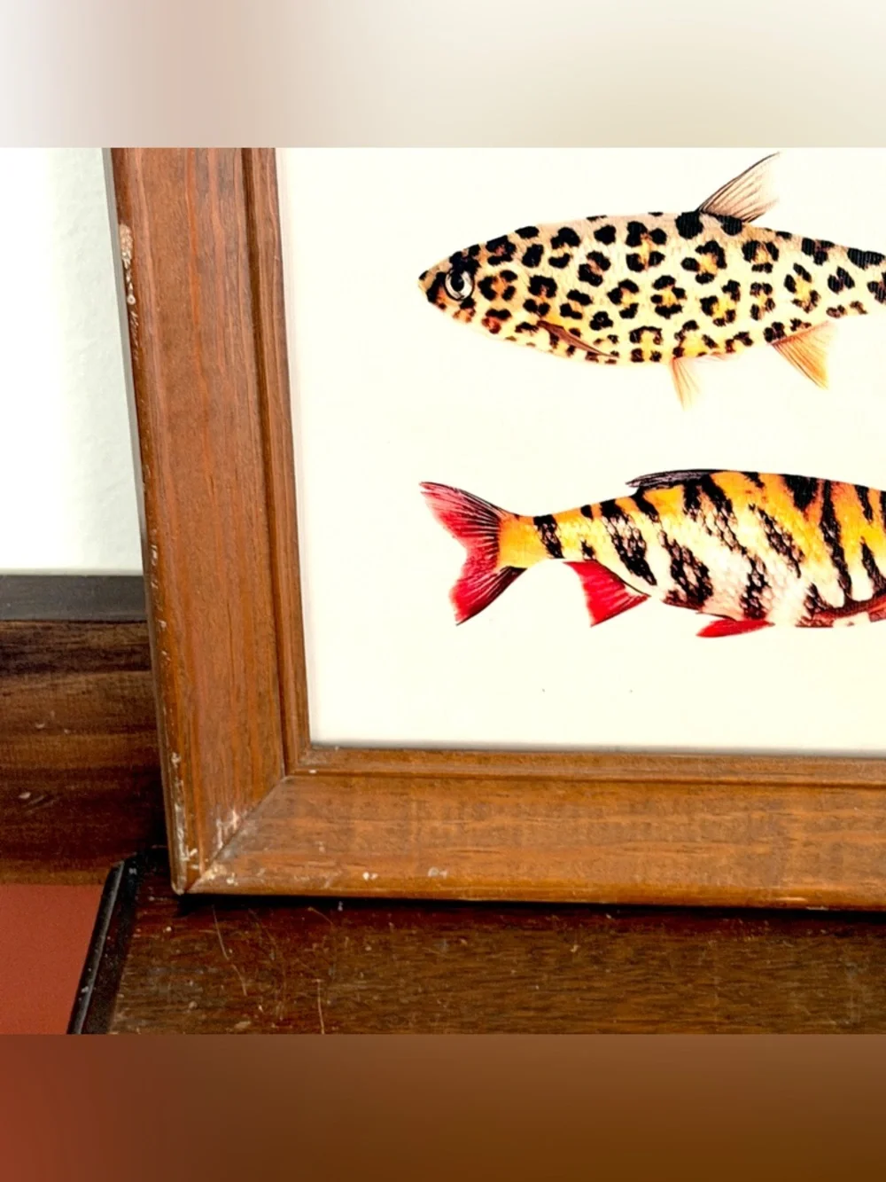 Animal Print Fish Canvas Art Print Vintage Wood Framed Wall Art 10x12” Fishing